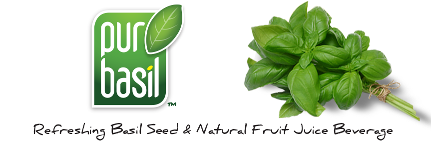 purbasil-logo purbasil logo